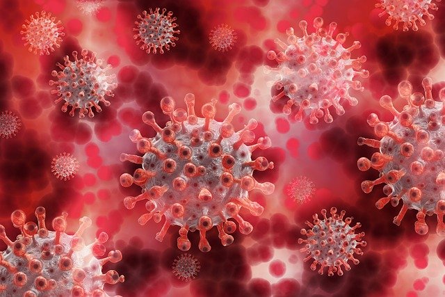Salah satu varian mutasi virus Corona adalah varian B117 asal Inggris yang diketahui lebih cepat menyebar 70 persen daripada virus Corona yang asli