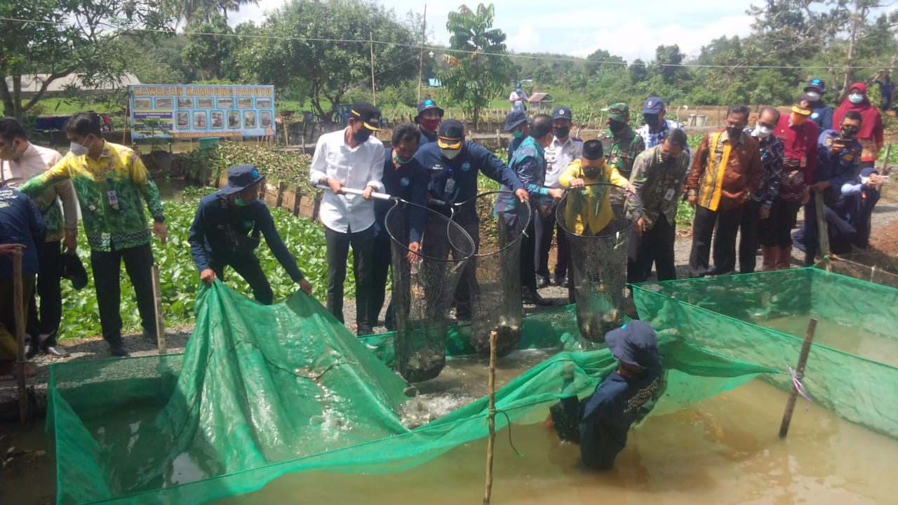 Pencanangan Kampung Iwak Papuyu di Desa Karang Intan ditandai dengan upati panen ikan papuyu oleh Bupati Banjar Saidi Mansyur