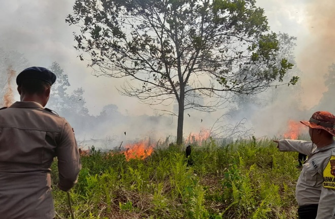 Kebakaran lahan di Kota Banjarbaru, Dewan minta tindak tegas pelaku jika unsur kesengajaan. (Foto: Humas Polsek Liang Anggang)