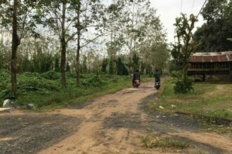 Kondisi Jalan Desa Pematang Danau Sungai Bokor Kecamatan Mataraman, Kabupaten Banjar mengalami kerusakan sejak 2002 lalu (Foto: Heru)