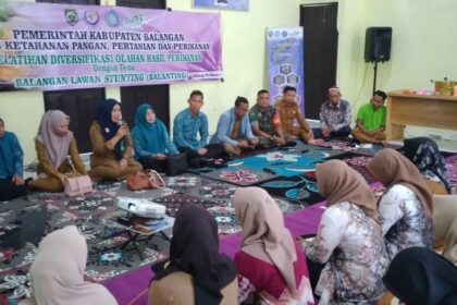 DKP3 Kabupaten Balangan Bidang Perikanan menggelar pelatihan diversifikasi olahan hasil perikanan di Desa Talaga Purun Kecamatan Paringin Selatan