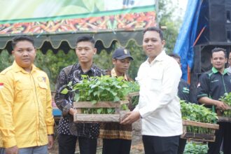 Ketua Hipmi Tabalong, Irwan Hidayat bagikan bibit cabai rawit tiung tanjung kepada warga yang ada di Desa Uwie Kecamatan Muara Uya Kabupaten Tabalong. Senin (05/06/2023). (foto : ihsan_teras7.com)