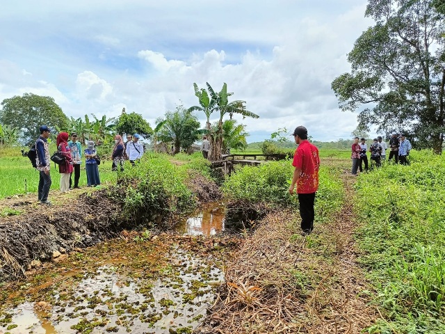 Peninjauan dilapangan oleh Dinas Pertanian Kabupaten Banjar ke Desa Limamar. Kamis (15/06/2023). (Foto : Heru)