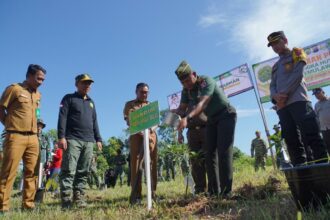 Kodim 1001 HSU Balangan bekerja sama dengan Pemkab Balangan masyarakat serta relawan peduli lingkungan adakan penanaman pohon serentak